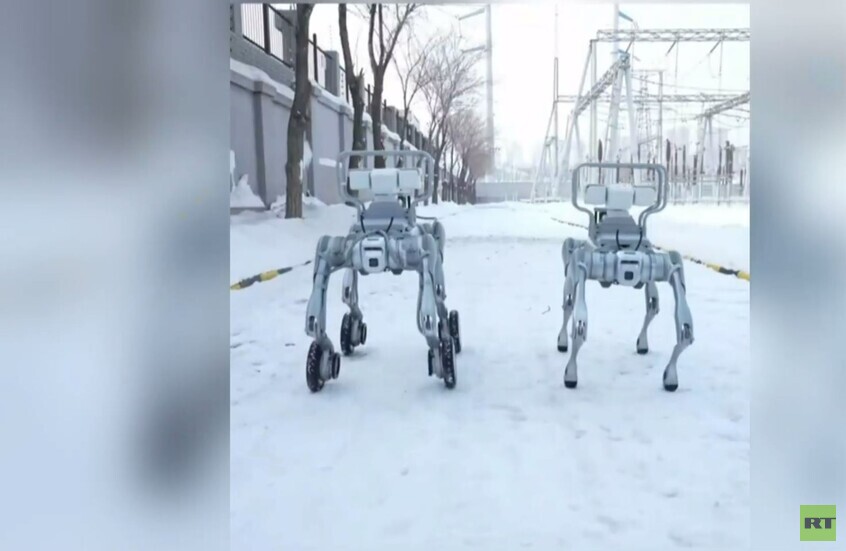 الصين تعرض كلابا آلية متطورة للعمل في درجات حرارة منخفضة