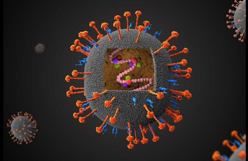 أكثر فتكا من "كوفيد".. فيروس "لا شفاء منه" يتفشى في الهند والسلطات تكشف عدد المصابين والمعزولين