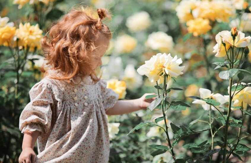 اكتشاف الخلايا المسؤولة عن فقدان ذاكرة الطفولة