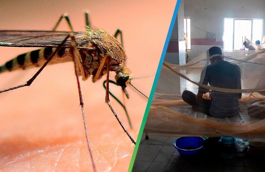 كوبا تتجاوز ذروة إصابات حمى الضنك والشيكونغونيا وتدخل "منطقة الأمان" الوبائية