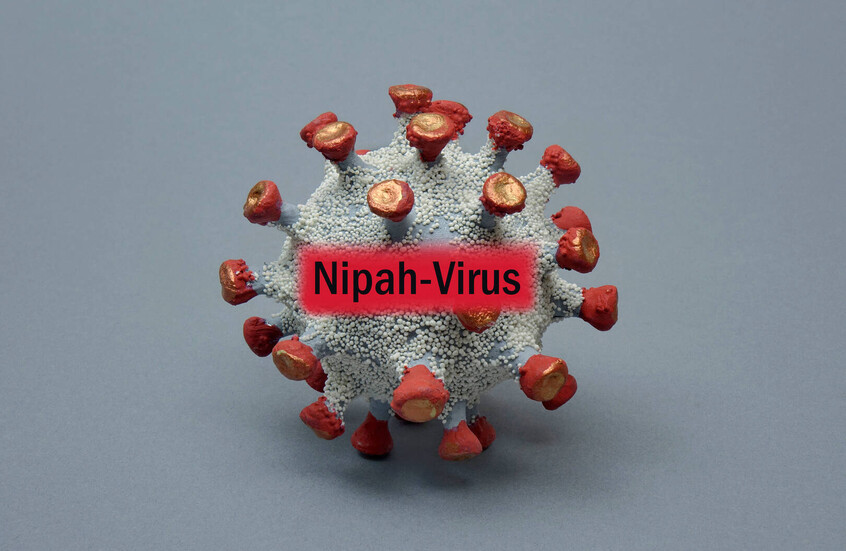 منظمة الصحة العالمية: عدوى فيروس نيباه قد تكون بدون أعراض أحيانا