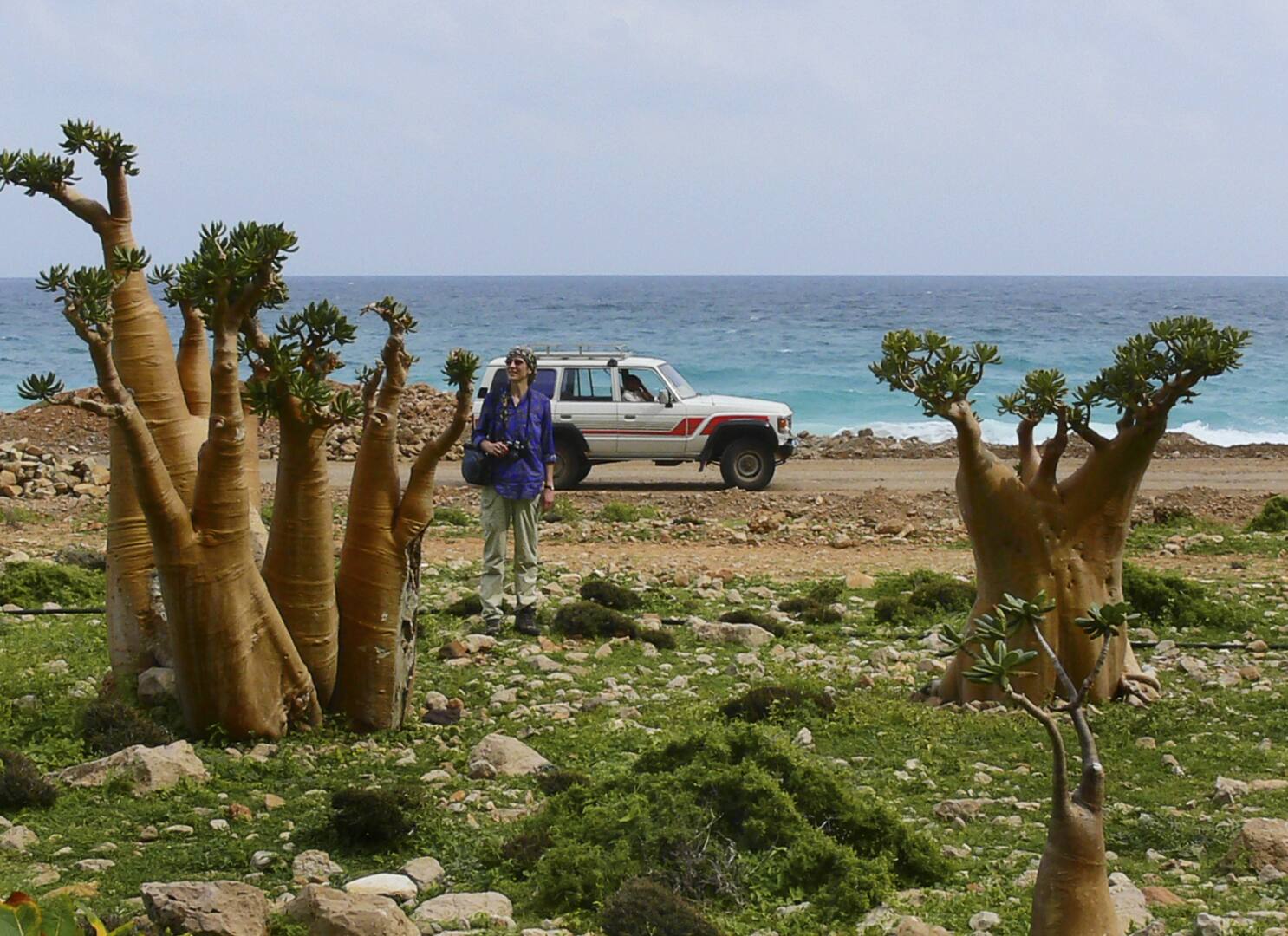 مغادرة أول مجموعة من الروس العالقين في سقطرى إلى السعودية