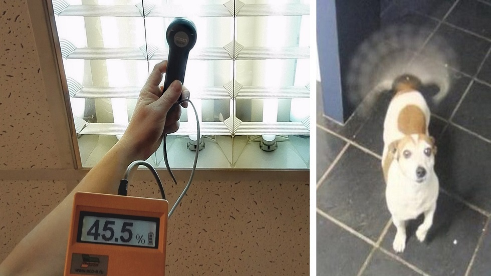 كيف يعزز الضوء الطبيعي تفكيرك وانتباهك خلال اليوم