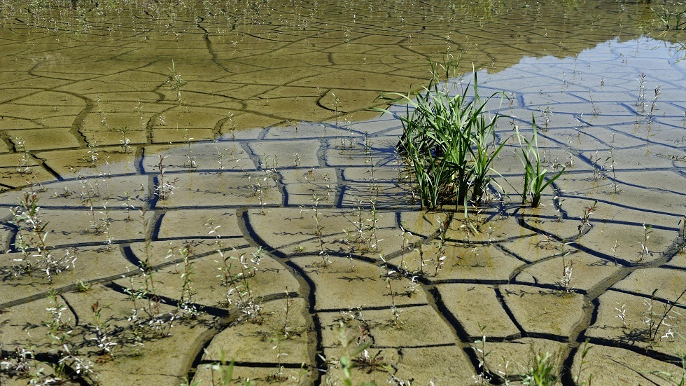 اكتشاف صلة بين الجفاف والفيضانات حول العالم