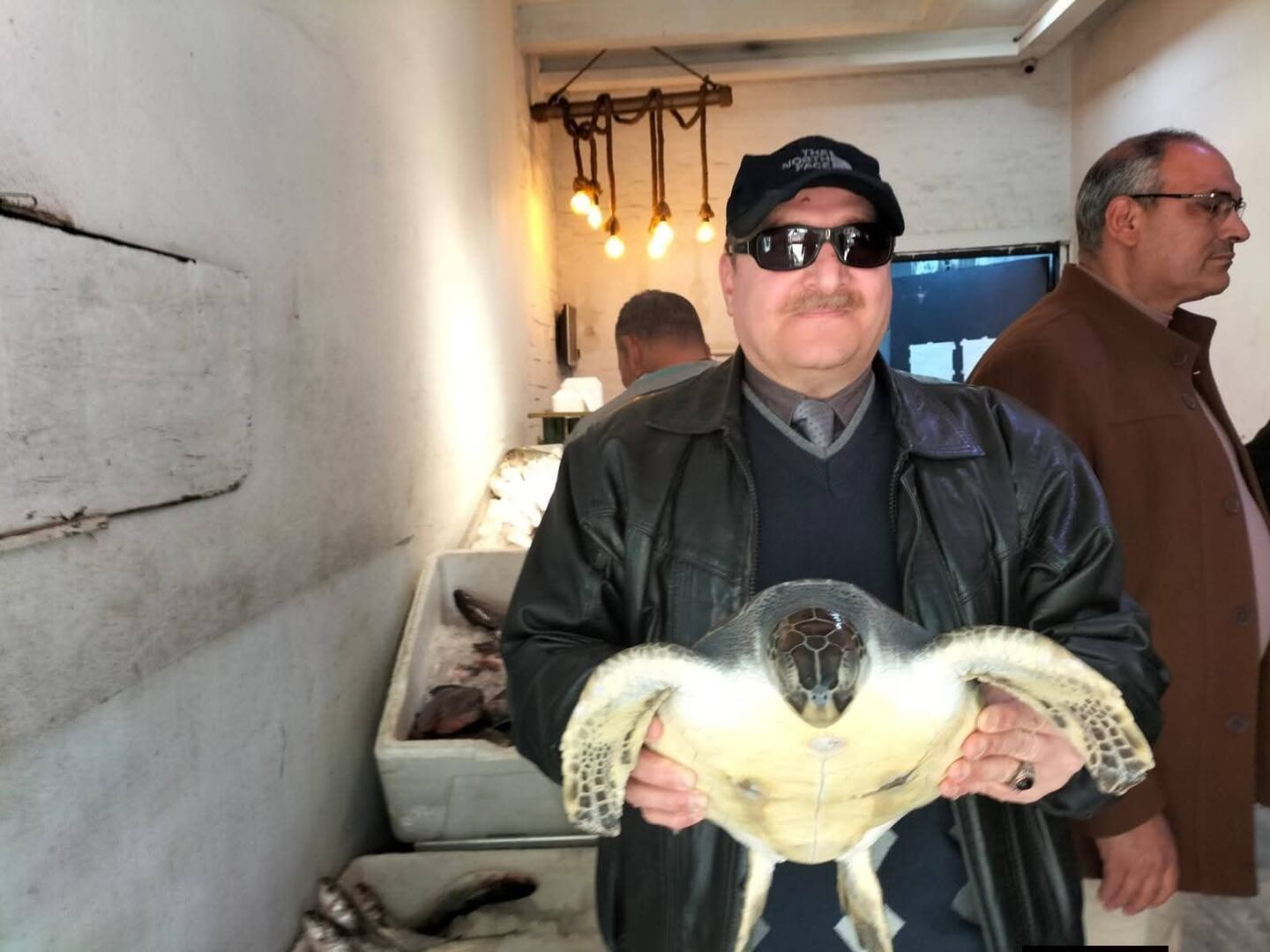 البيئة المصرية تنقذ سلحفاة بحرية مهددة بالانقراض من محل مأكولات