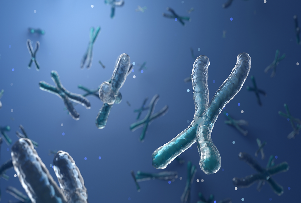 انسَ الغذاء والرياضة!.. عامل آخر يكشف سر طول العمر