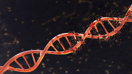 طريقة بسيطة تستغرق 10 دقائق فقط يوميا تبطئ سرطان الأمعاء 