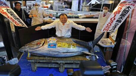 سعر قياسي.. تونة بـ3.25 مليون دولار في أول مزاد ياباني للعام الجديد 