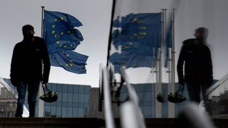 ممثلة المفوضية الأوروبية: سنضطر يوما للتفاوض مع بوتين