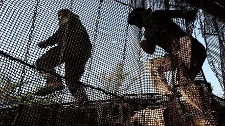 العملية العسكرية الروسية في أوكرانيا