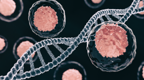 اكتشاف جديد قد يساعد في محاربة سرطانات الأمعاء والكبد