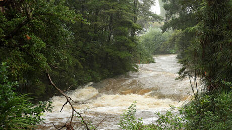 فقدان عدة أشخاص في نيوزيلندا جراء فيضانات وانهيارات أرضية واسعة النطاق