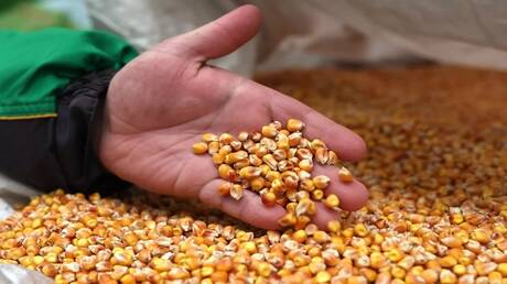 كيف ومتى فرقع 