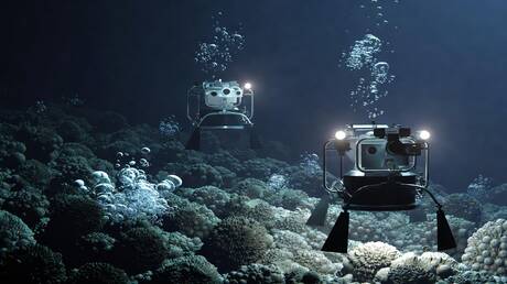 لأول مرة.. روبوتات تبحث عن 