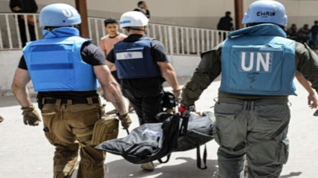 ألبانيز تعرب عن 