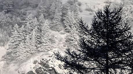 مصرع سبعة أشخاص على الأقل في الولايات المتحدة بسبب الصقيع