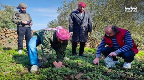 لليوم الثاني.. طائرات إسرائيلية ترش "مواد مجهولة" فوق أراضي القنيطرة بسوريا - عاجل 
