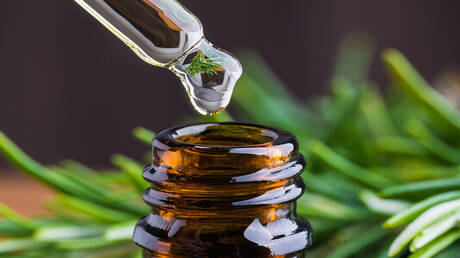 مستخلص إكليل الجبل يحارب التهاب الدماغ المصاحب لعلاج السرطان 