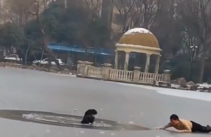 مشاهد درامية.. صيني يخاطر بحياته لإنقاذ طفل من الغرق في بحيرة متجمدة