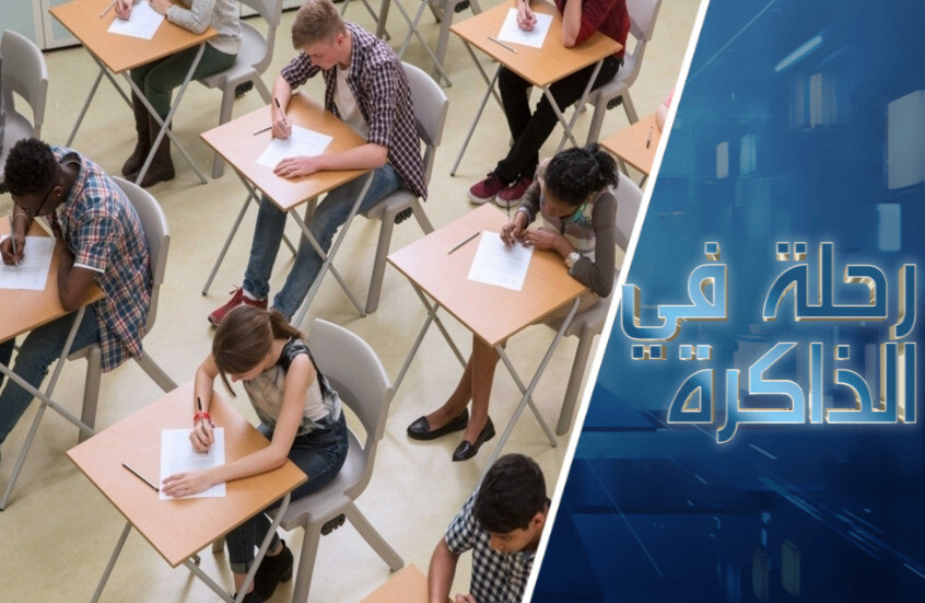 حاصل الذكاء IQ والعنصرية أو هل هناك معيار شامل للذكاء عند البشر؟