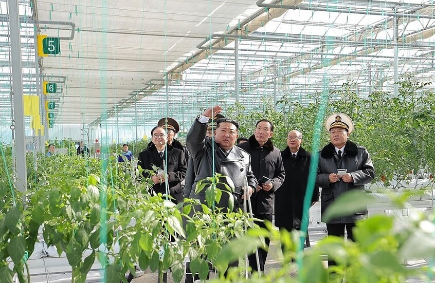 كيم جونغ أون يفتتح مجمعا ضخما من البيوت الزراعية