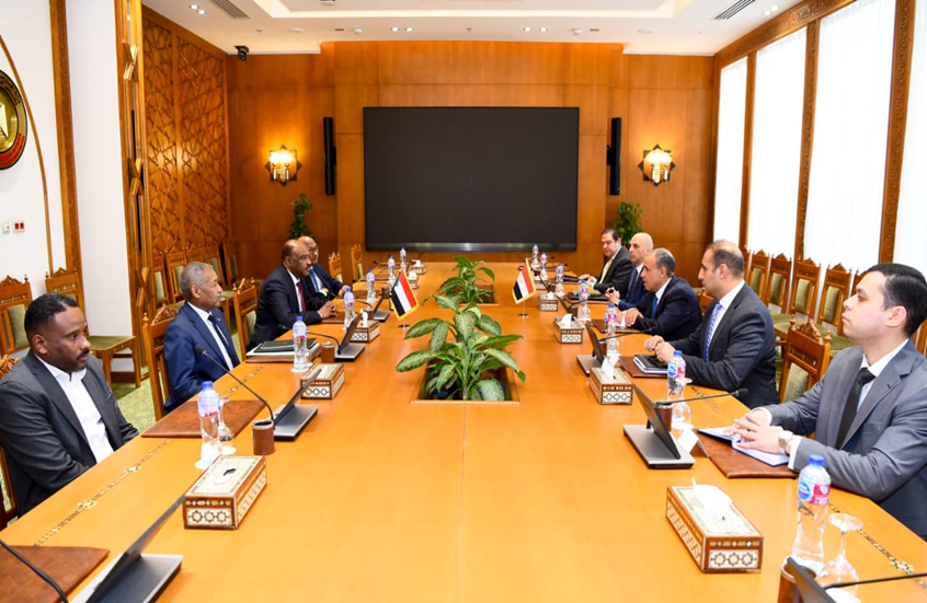 مصر تشدد على رفضها أية محاولات لتقسيم السودان