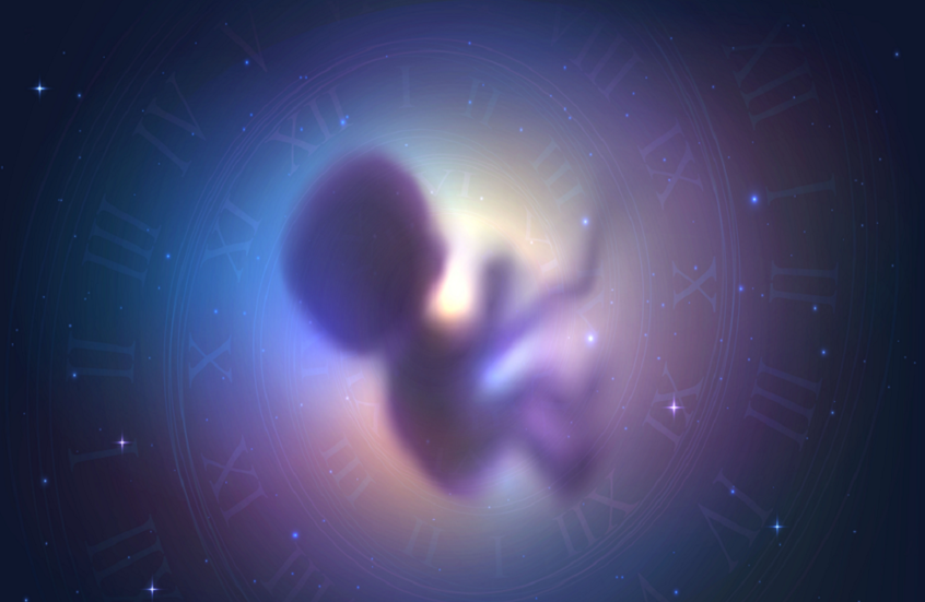 استكشاف الفضاء يفتح ملف الإنجاب خارج الأرض