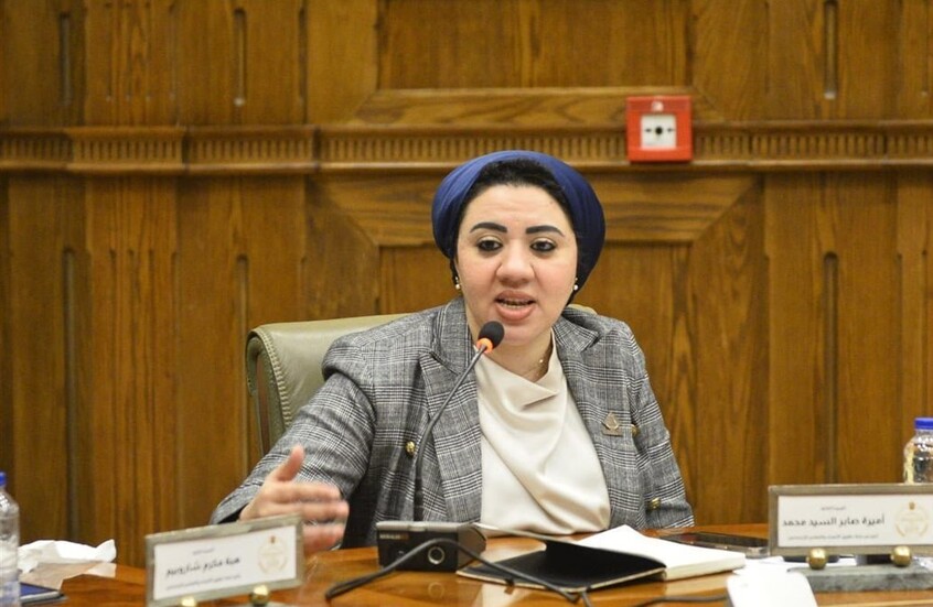 "التبرع بجلد المصريين وأنسجتهم".. مقترح بإنشاء بنك جديد من نوعه