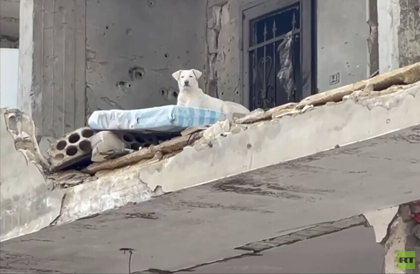 جنوب لبنان.. مشاهد خاصة بقناة RT من بلدة عيتا الشعب المدمرة