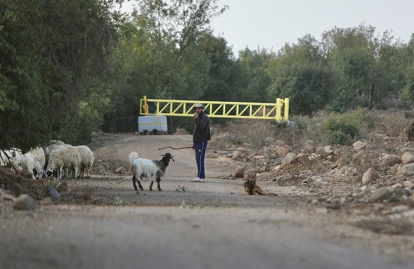 الكشف عن نتائج رش إسرائيل أراضي سورية بالمبيدات.. تصريحات ميدانية