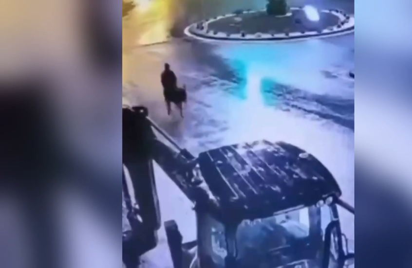 باستخدام رافعة شوكية وحمار.. سرقة غريبة في تركيا