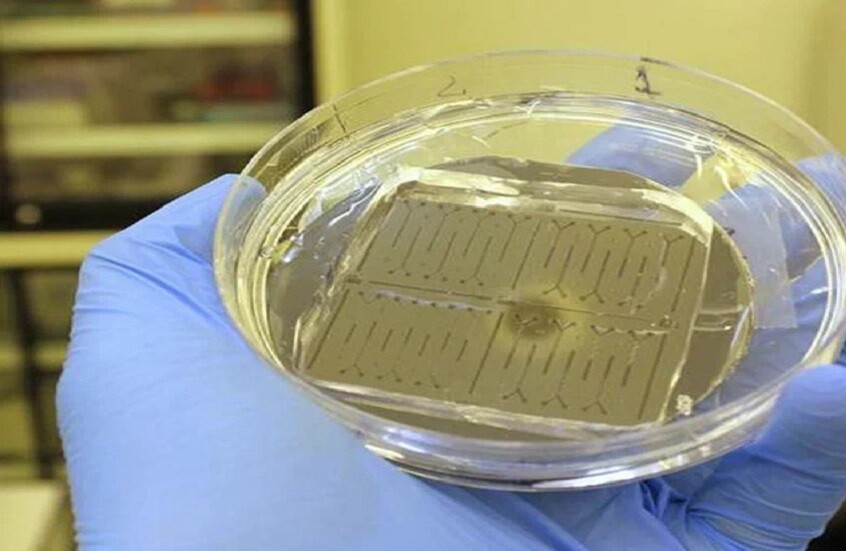 علماء روس يبتكرون جهازا للكشف عن علامات الشيخوخة والأمراض