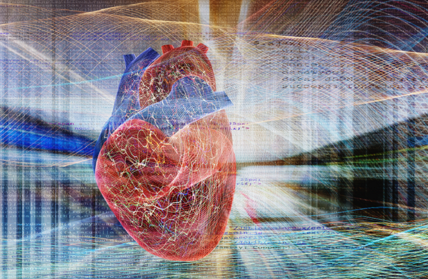 "قلب اصطناعي على شريحة" يفتح آفاقا لمحاربة الأمراض القلبية