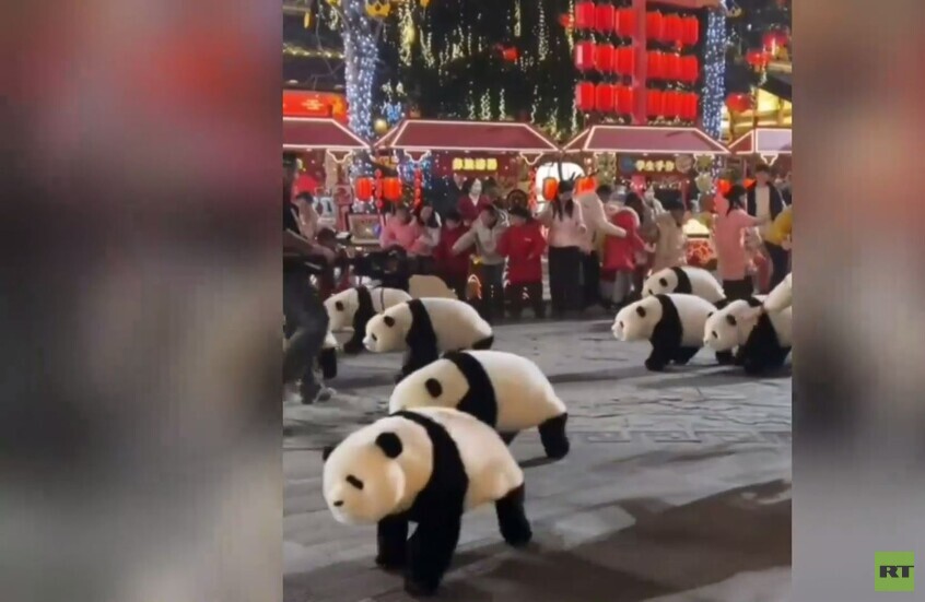 الصين.. دمى باندا آلية تتجول بشكل جذاب في الشوارع