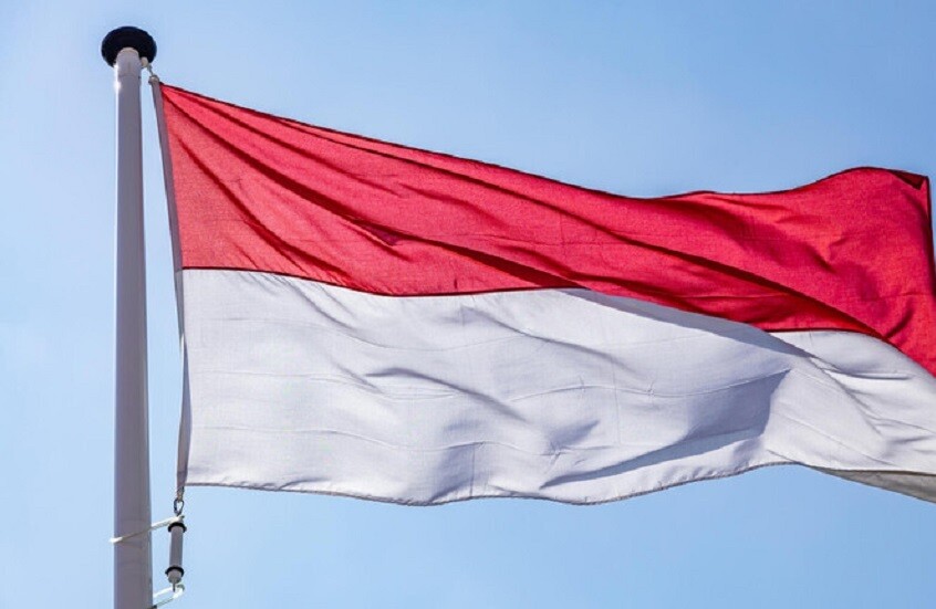 الصحة الإندونيسية تفيد باكتشاف فيروس نيباه لدى الخفافيش