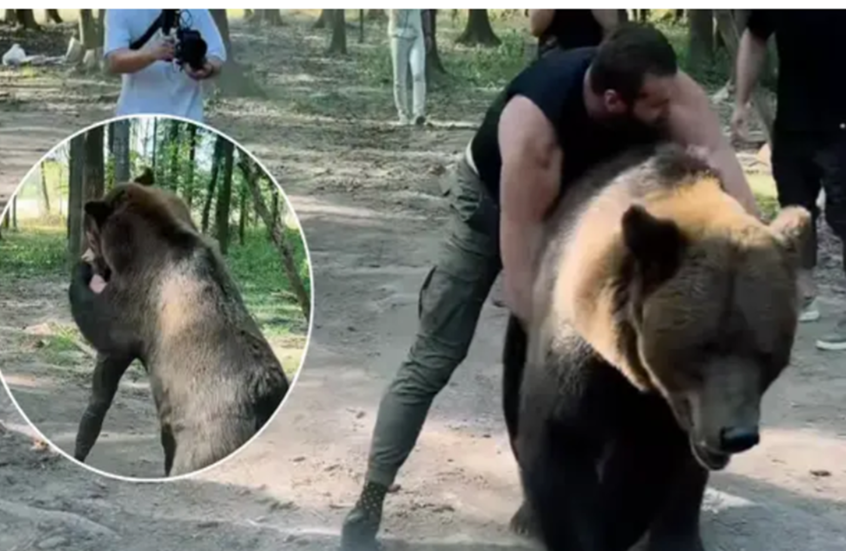 الملاكم الروسي أرسلانبيك محمودوف يصارع دبا استعدادا لنزاله المرتقب ضد تايسون فيوري (فيديو)