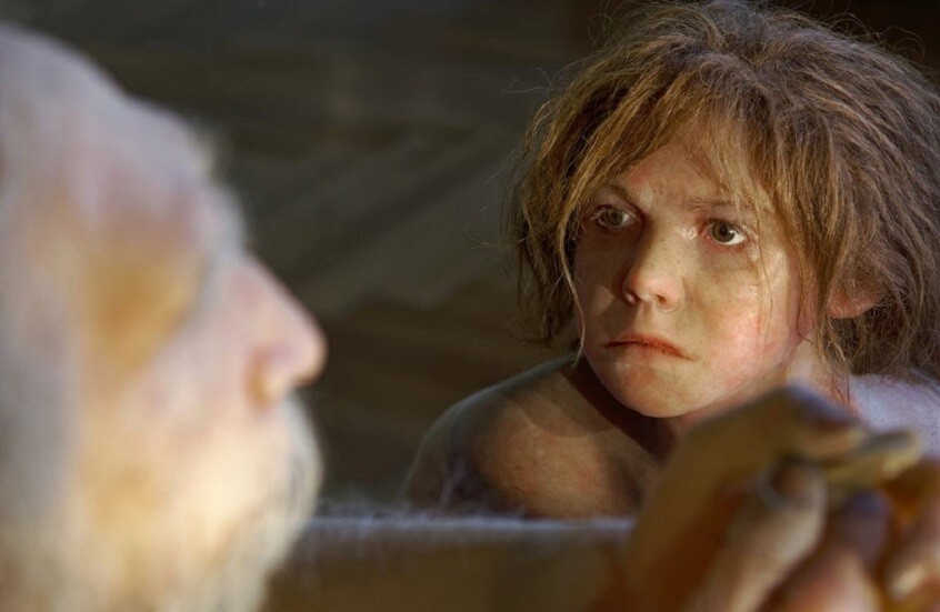 فرضية جديدة حول انقراض إنسان نياندرتال!