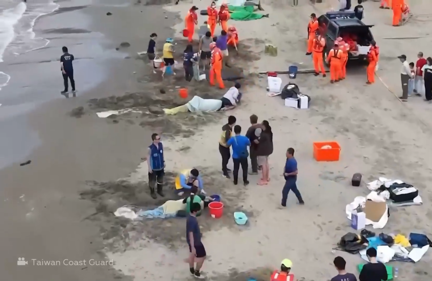 إنقاذ حيتان قاتلة قزمة نادرة جنحت على شاطئ مقاطعة بينغتونغ