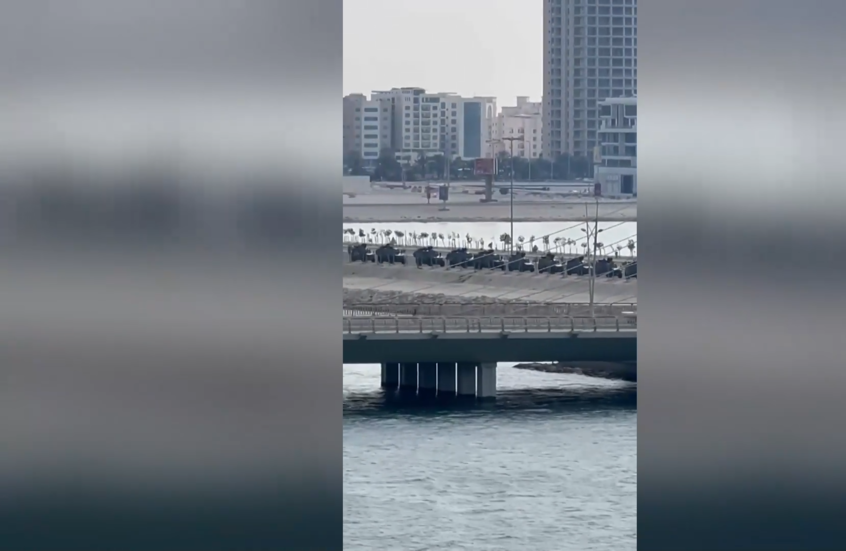 رصد تحركات مركبات عسكرية في البحرين