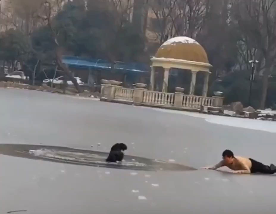 مشاهد درامية.. صيني يخاطر بحياته لإنقاذ طفل من الغرق في بحيرة متجمدة