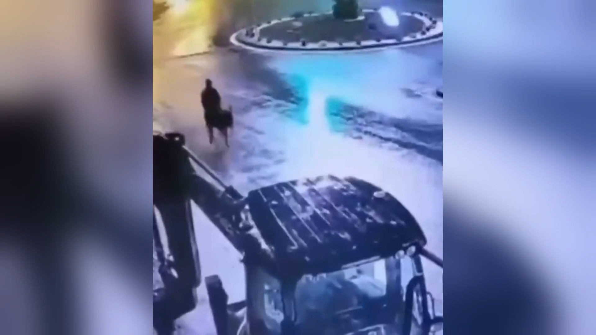 باستخدام رافعة شوكية وحمار.. سرقة غريبة في تركيا