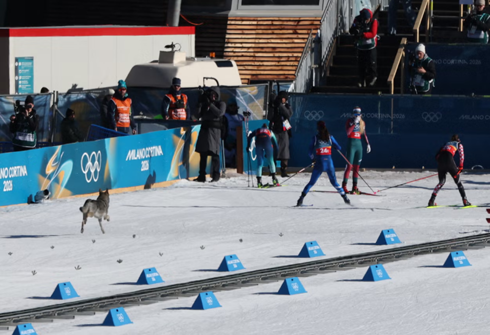 ضيف غير متوقع في الأولمبياد الشتوي.. كلب ينضم إلى سباق السيدات ويعبر خط النهاية مع المتسابقات