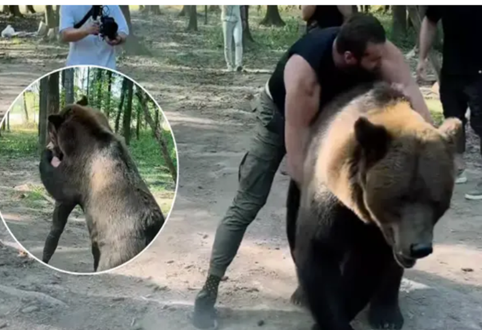 الملاكم الروسي أرسلانبيك محمودوف يصارع دبا استعدادا لنزاله المرتقب ضد تايسون فيوري (فيديو)