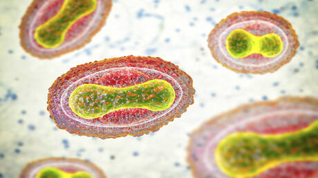 تحذير علمي خطير.. استئصال الجدري ترك الباب مفتوحا للجائحة القادمة!