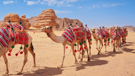 السعودية  تدشن 