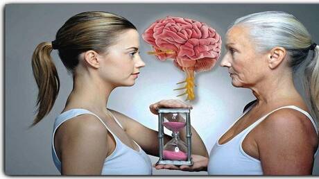 خبير روسي: دماغ الإنسان لا يشيخ طوال الحياة رغم اختلاف تطور المهارات