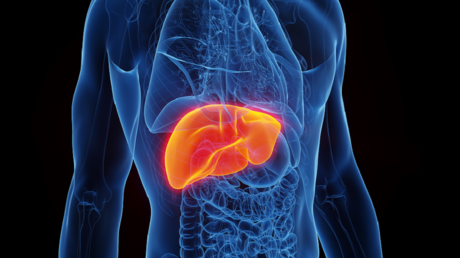 كيف يؤثر العمل الليلي والأكل غير المنتظم على صحة الكبد؟ 