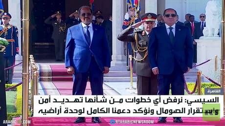 مباحثات مصرية صومالية في القاهرة