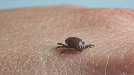 الصين.. اكتشاف جسم مضاد لمكافحة متلازمة الحمى المصحوبة بنقص الصفيحات