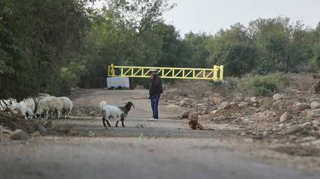 الكشف عن نتائج رش إسرائيل أراضي سورية بالمبيدات.. تصريحات ميدانية